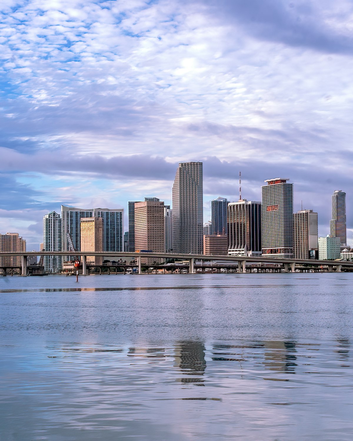 The South Florida waterfront business skyline across the bay